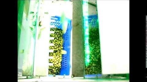 Almond Classification Machine - ( www.selectionmachines.com )