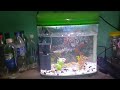 New aquarium