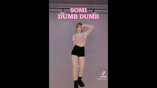 Somi 전소미 - Dumb Dumb Dance Challenge