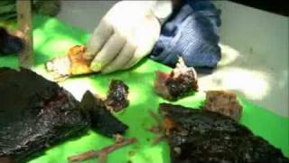 WGN TV Lunchbreak for National Brisket Day