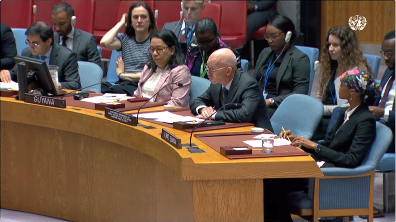 Acting UN Special Representative Briefs Security Council (Elections ...