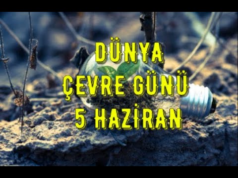 Video: Çevre Bilgisi Günü Ne Zaman