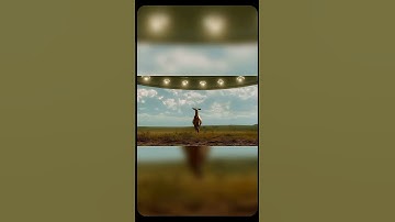 AiตัวแรกของโลกทำวิดีโอHDR #triplenext #ai #photoshop #aiสร้างวิดีโอ #aicontent #chatgpt #geminiai