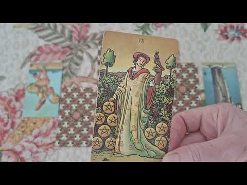 540 المتحدث الضيف أ طيح بهاري من ق بل أخيه الم ر استعراض للأمير ويليام