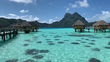 Quand aller à Bora-bora ?