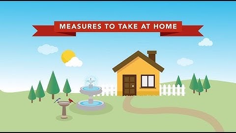 Dengue - Measures to take at home
