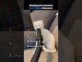 Ranking the Funniest Cat Falling Moments