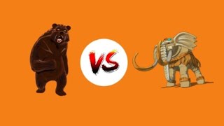 Sebenta Vs Nirumend Gerçek Değil Şfet