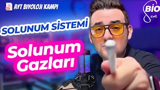 Solunum Sistemi-2 | Ayt Biyoloji Konu Anlatımı 11. Sınıf | 2024