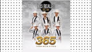 365    LOS REALES DEL RIO