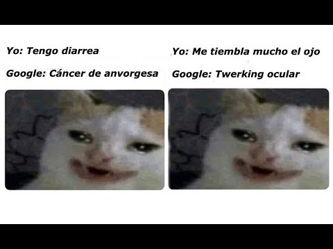 Download Meme Gato Llorando Google | PNG & GIF BASE