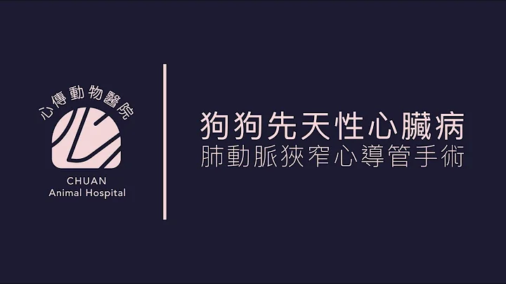 【 心传毛孩故事】犬肺动脉狭窄心导管手术  pulmonary stenosis balloon valvuloplasty in a dog - 天天要闻
