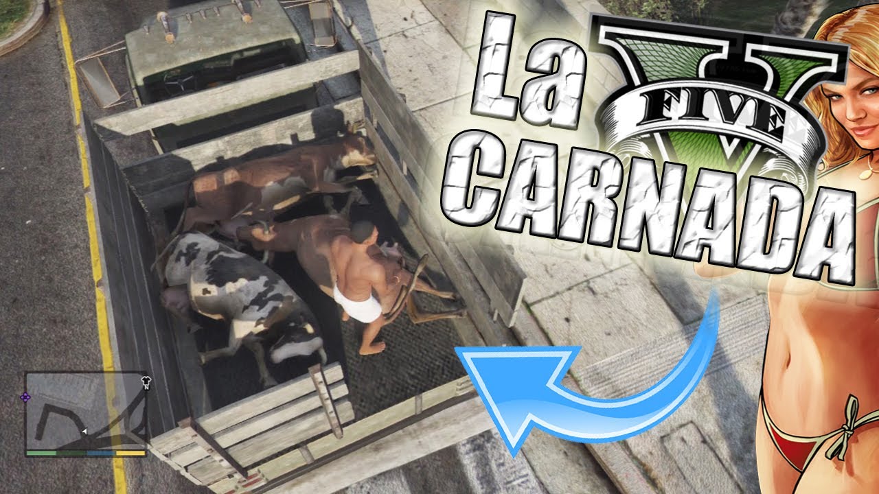 videos graciosos para facebook GTA V - Alimentemos al TIBURÓN (Grand Theft Auto 5)