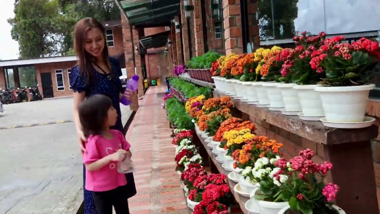 Roadtrip from Kuching to Kota Kinabalu