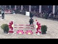 Cote dor z final round belgian stallion competition for 7 yo stallions 2023