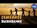 Русское семейное выживание. Почему погибает семья? (Познавательное ТВ, Андрей Иванов)