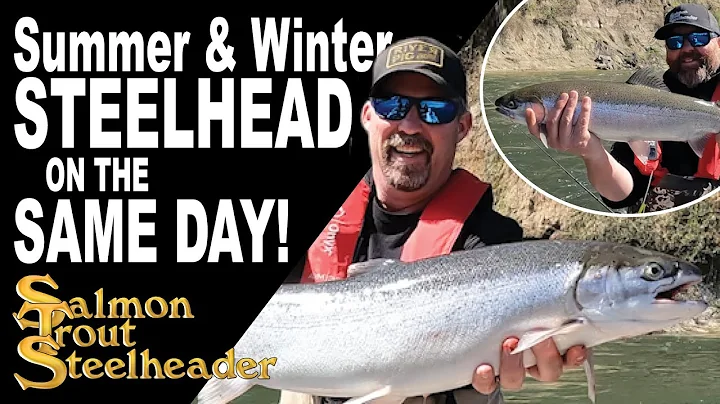 SUMMER and WINTER STEELHEAD on the SAME DAY!!! Wit...