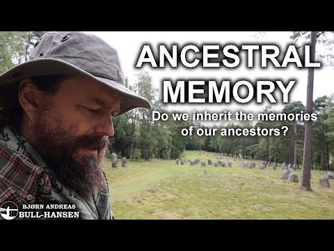 Video: Ivan Tea Awakens Genetic Memory And Restores Connection With Ancestors - Alternative View