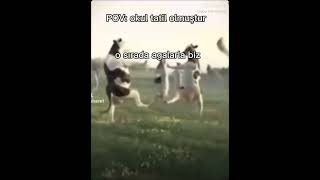 okul tatil olunca agalarla biz #keşfet #memes #shitpost #ytdayibenionecikarnolur #voiceeffects