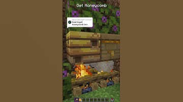 How to get honeycomb in Minecraft survival