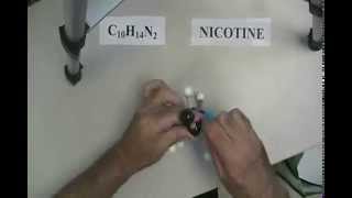 Molecular Model of Nicotine screenshot 4