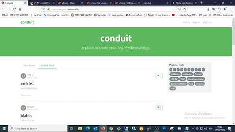 96. Subir Web Angular cPanel para PHP