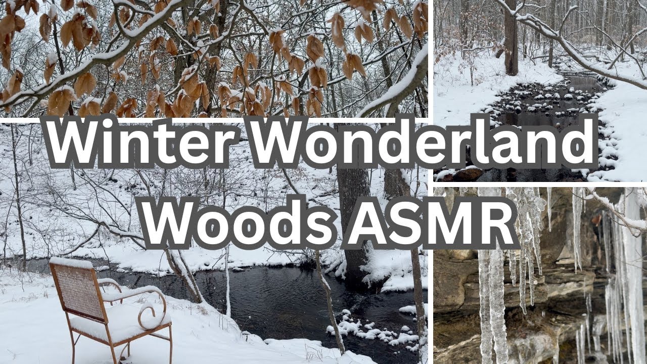 Winter Wonderland in the Woods - ASMR -Snow, water, ice - YouTube
