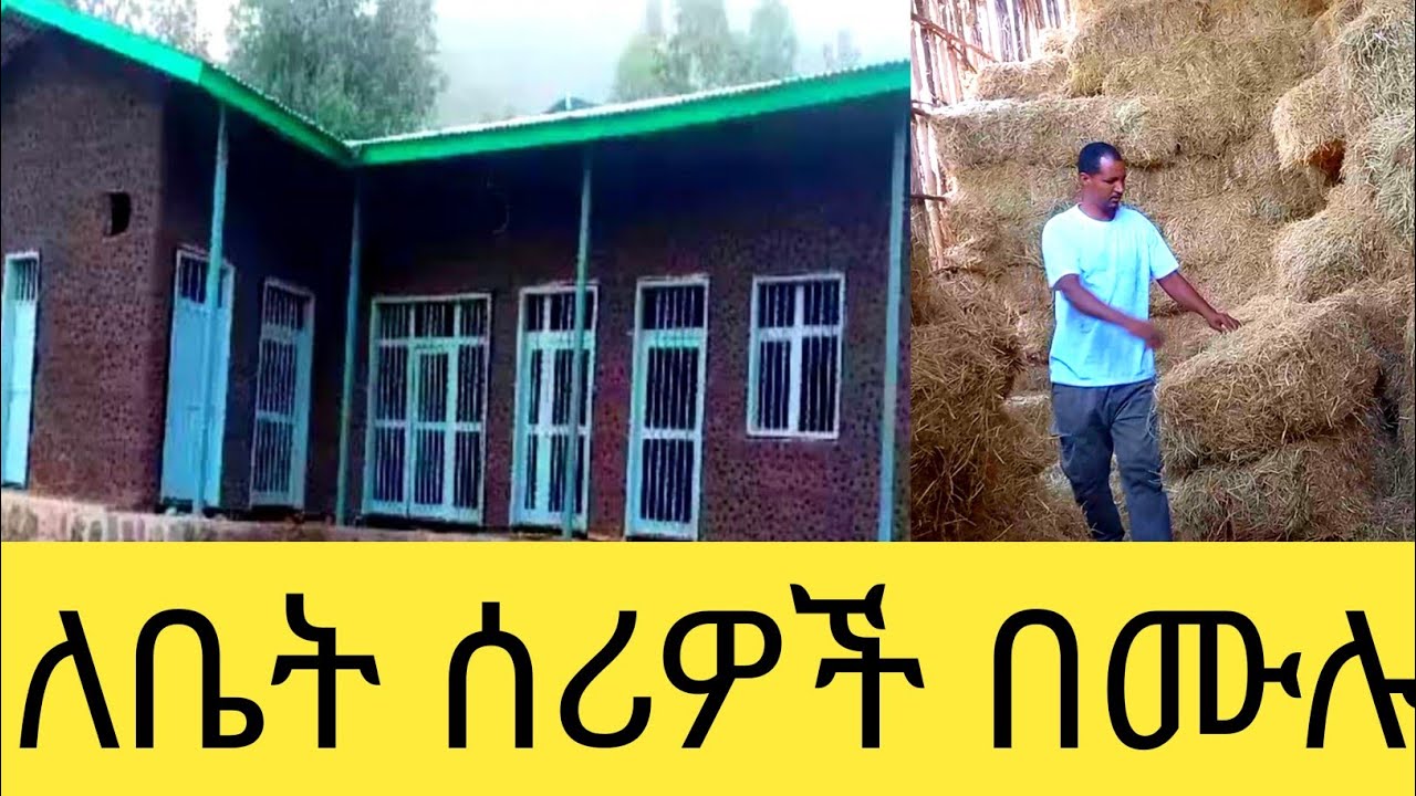 ቤታችሁን ማስመረግ ላሰባችሁ ለጅፕሰም ስራ የትኛው የመረጋ አይነት የተሻለ ነው ወጩስ የትኛው ይቀንሳል ወሳኝ መረጃ