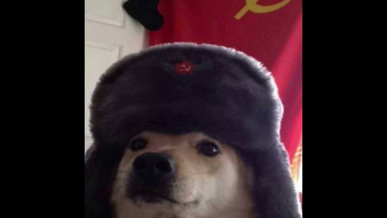 indie raw acoustic guitar no drums type beat