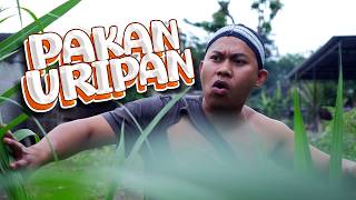 LIFE STORY - LESSONS