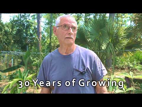 Food Forest Tour | This Garden Paradise is a 30 year project