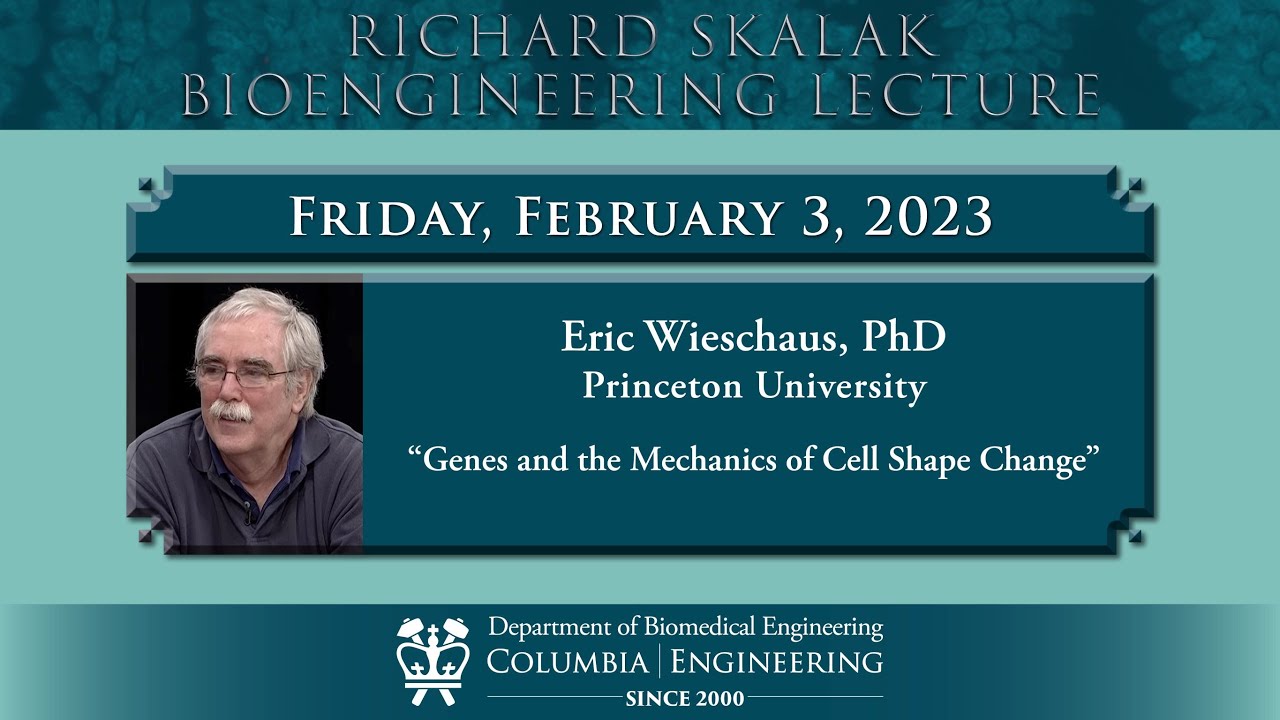 2023.02.03 RICHARD SKALAK BIOENGINEERING LECTURE - Eric Wieschaus, Princeton University