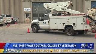 KUB: Most power outages caused by vegetation