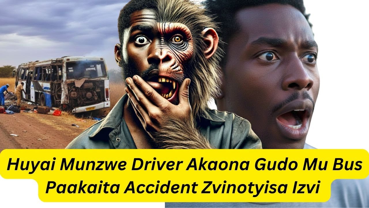 Huyai Munzwe Driver Akaona Gudo Mu Bus Paakaita Accident Zvinotyisa Izvi