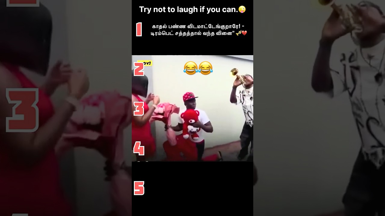 try Try not to laugh#🤣😜சிரிக்காமல் இருக்க முயற்சி செய்யவும் ## level 2258