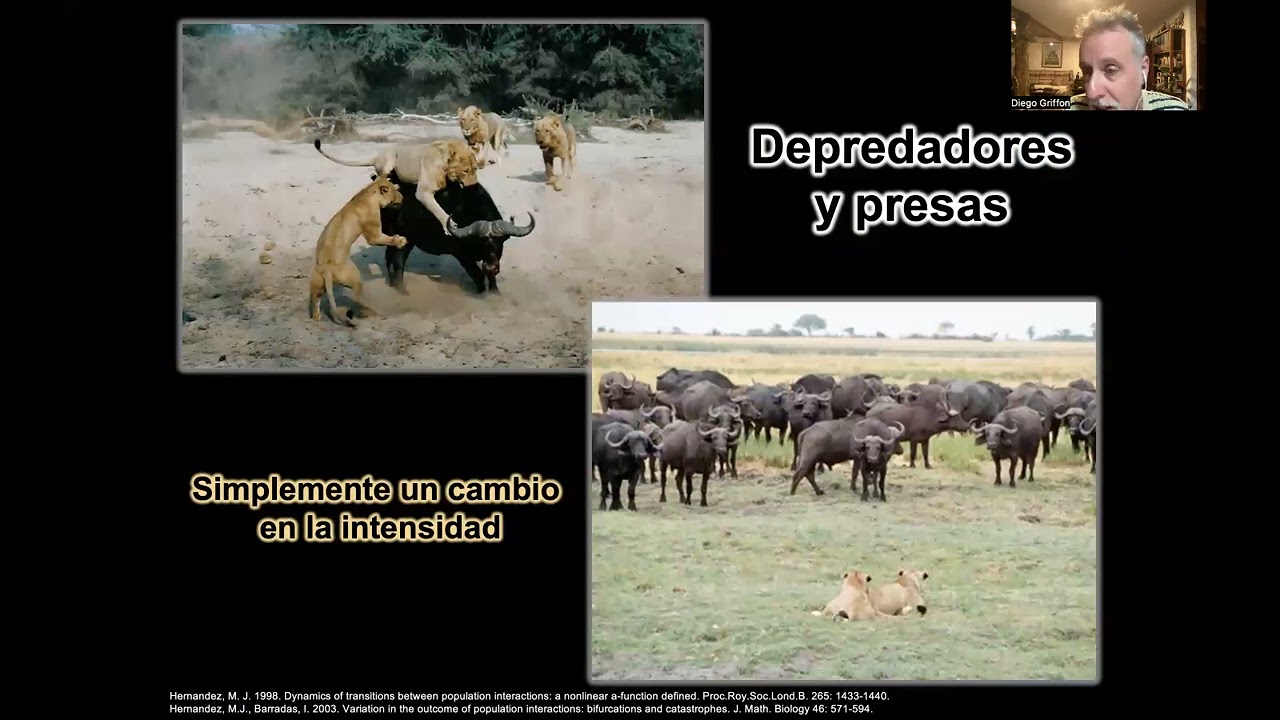 10 - Interacciones Condicionantes