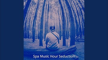 Successful Koto and Strings - Vibe for Mineral Baths