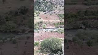 Hozan eruhlu memo siirt velat