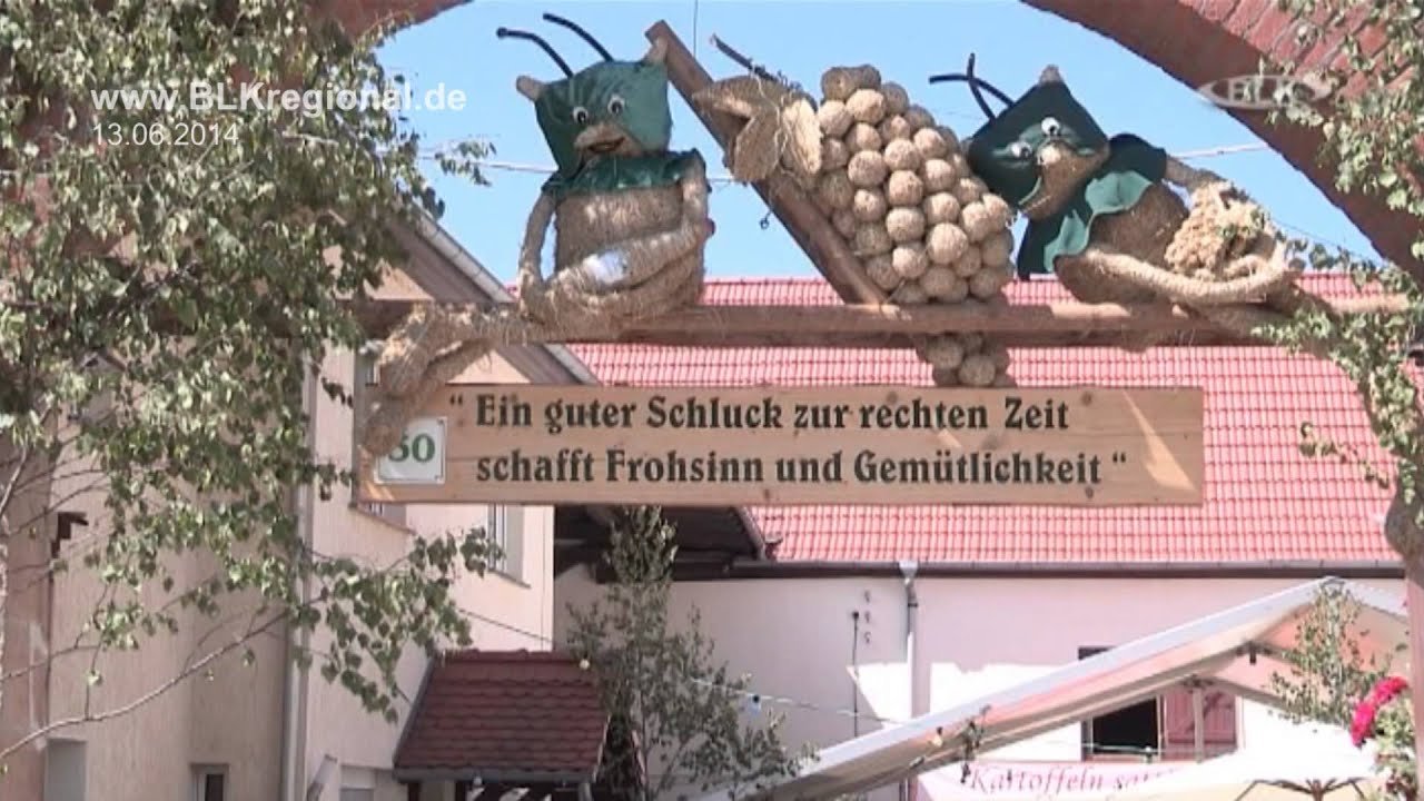 2014-06-13 Weinmeile Roßbach BLK Regional TV www.BLKregional.de