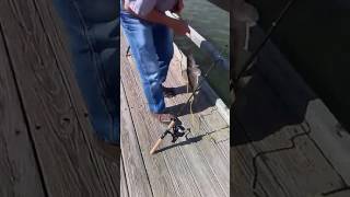 Emily Dixons Fishing Misadventure