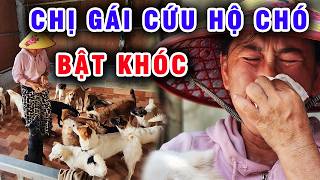 Chị Thảo cứu hộ chó bật khóc không dám cho người ta xin nuôi dù đang rất khó khăn