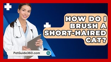 How Do I Brush A Short-haired Cat? - PetGuide360.com