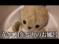 【ぬい活】40年一緒にいるぬいぐるみをお風呂に入れたらドブ水見たいな液体出てきたよ🥹