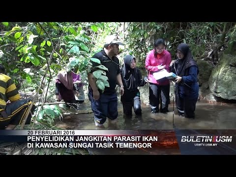 Video: Kisah Pelik Dengan Ikan Parasit Yang Menghilangkan Hati Gadis - Pandangan Alternatif