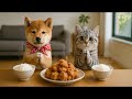 まめとまるの唐揚げ日和｜Mame and Maru’s Fried Chicken Day