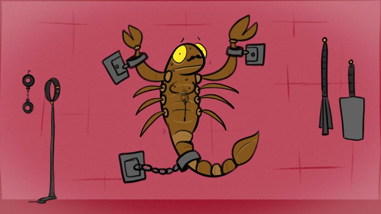 داستان 13 حیوانی که بعد از اولین رابطه میمیرن! (تراژدی عشق)