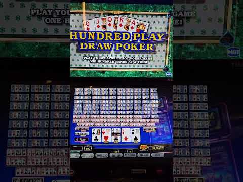 Por qué los millonarios eligen los casinos