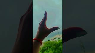 Log Hmse Jlte H || Love Hand Dance || #HoneySharma #shortviralhand #trendingshortvideo