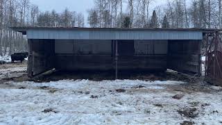 Preparing for calving