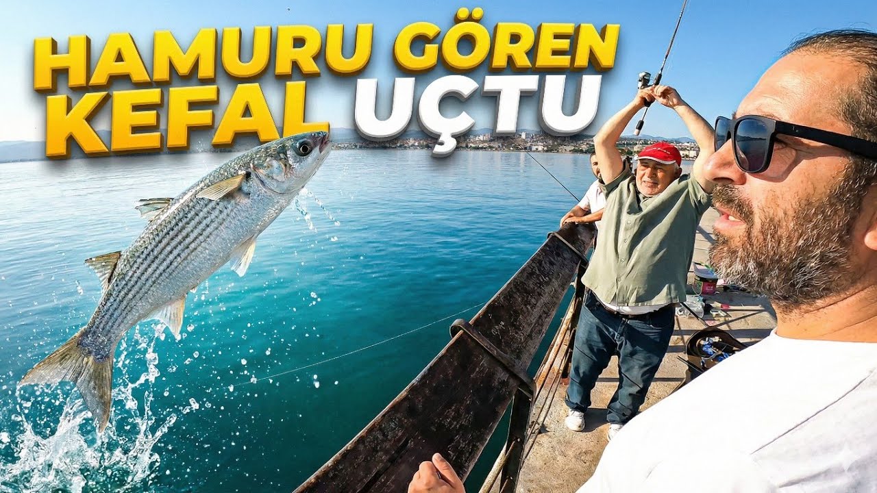 HAMURU GÖREN KEFAL UÇTU! BİRİ GİDİYOR DİĞERİ GELİYOR. 